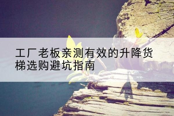 小店升降货梯怎么选-工厂老板亲测有效的升降货梯选购避坑指南