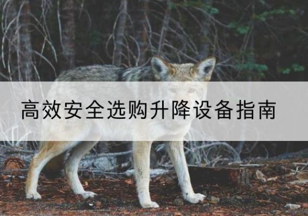 小店升降货梯厂家推荐-*安全选购升降设备指南