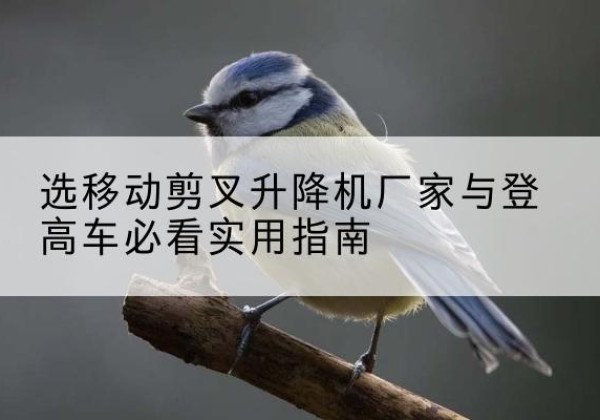 小店电动升降机厂家-选移动剪叉升降机厂家与登高车必看实用指南