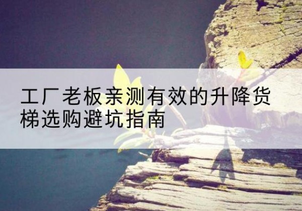 小店升降货梯怎么选-工厂老板亲测有效的升降货梯选购避坑指南
